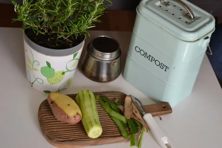Wat is de beste kleine compostbak?