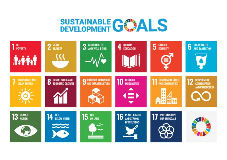 Wat zijn de Sustainable Development Goals?