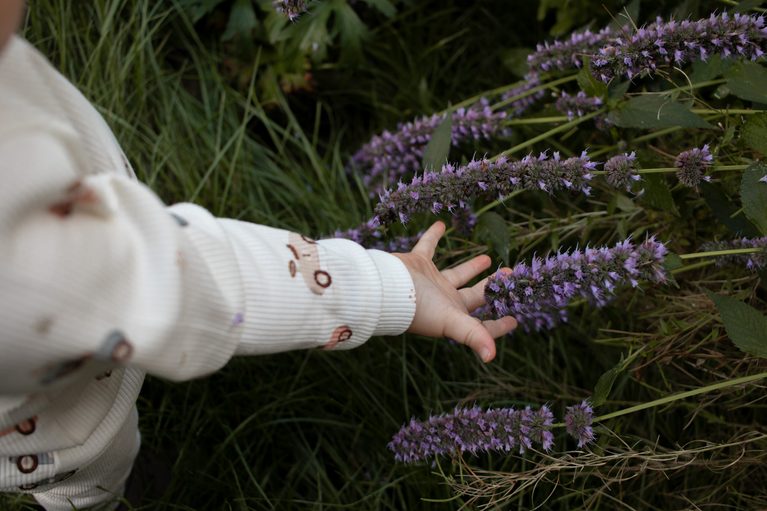 kindvriendelijke tuin